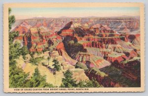 Postcard Grand Canyon Arizona AZ Bright Angel Point 1939 Linen View