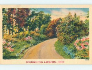 Linen GREETINGS FROM POSTCARD Jackson - Near Athens Ohio OH ho5982