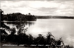 Park Falls Wisconsin RPPC View of  Springfield Lake Postcard Y2