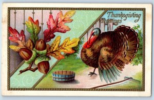 c1910's Thanksgiving Greeting Turkey Acorn And Rake Embossed Antique Postcard