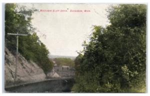 1907 Moccasin Bluff Drive, Buchanan, MI Postcard