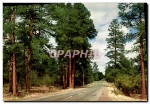 Old Postcard Arizona highway