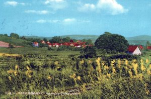 VINTAGE POSTCARD THE ROLLING COUNTRYSIDE AND VILLAGE OF HARRIEHAUSEN GERMANY