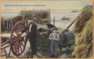 Threshing his first crop with a home made Thresher- Great Plains Farming-1912