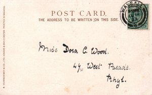 Woman Feeding Chickens