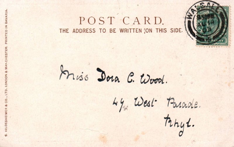 Woman Feeding Chickens