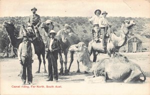 Australia Camel riding Far North vintage postcard B911