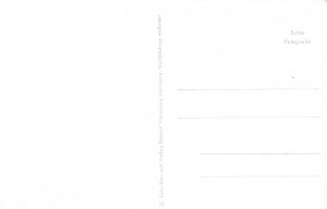 Germany Feldafing a Starnberger See General View RPPC vintage postcard