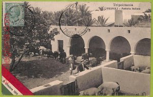 af6384 - LIBYA - VINTAGE POSTCARD - Tripoli-