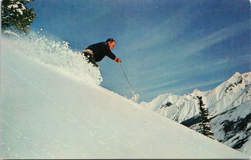 Wateron Lakes Alberta Canada Man Skiing Slopes Unused Vintage Postcard H17