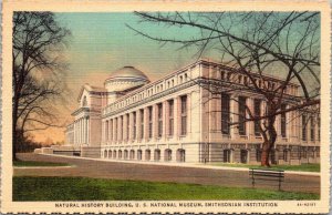 Washington DC The Natural History Building Curteich