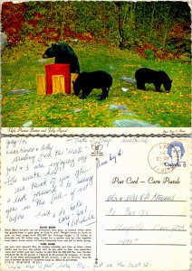 Ugh, Peanut Butter and Jelly Again!! Black Bears (23646