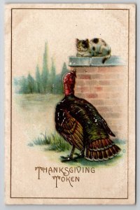 Thanksgiving Greetings Token Turkey And Kitten Postcard V22