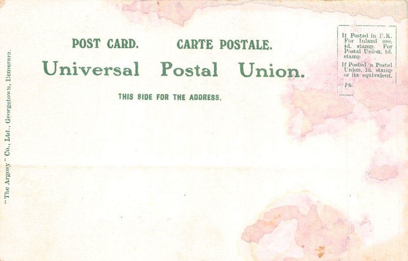 Guyana Georgetown Market Boats vintage postcard