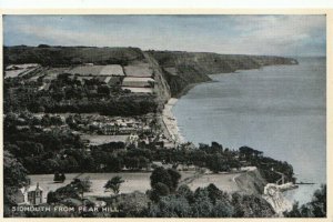 Devon Postcard - Sidmouth From Peak Hill - Ref TZ4261