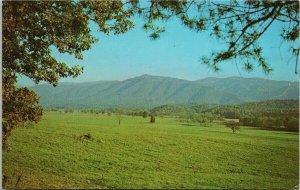 Cades Cove Great Smoky Mountains TN Tennessee Unused Vintage Postcard H25