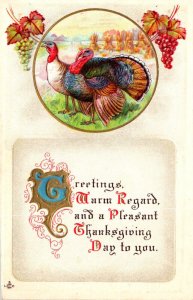 Thanksgiving Greetings With Turkeys