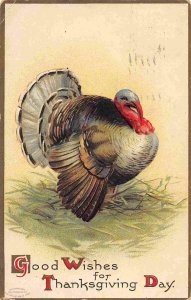 Good Wishes for Thanksgiving Day Greetings Turkey 1908 postcard