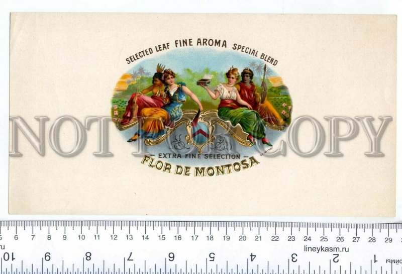 500054 FLOR de MONTOSA Vintage embossed cigar box large label