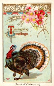 Thanksgiving Greeting With Turkey 1911