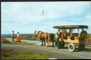 New York LAKE MINNEWASKA Surrey Rides Horses and Carriage - pm1964 - Chrome