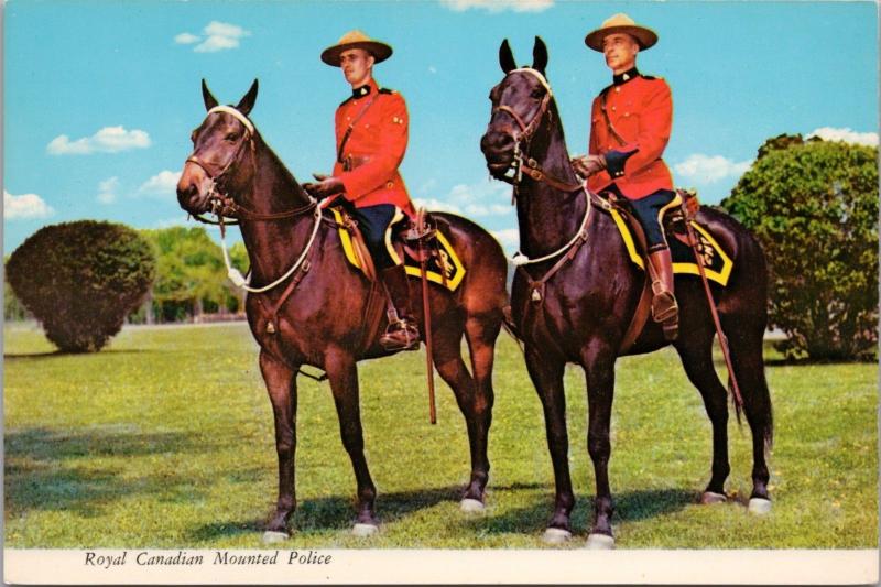 RCMP Mounties Royal Canadian Mounted Police Horses Unused Vintage Postcard D43