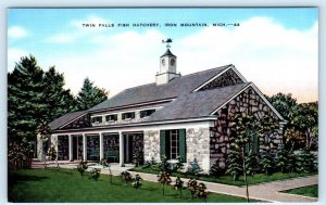 IRON MOUNTAIN, Michigan MI ~ TWIN FALLS FISH HATCHERY Dickinson County Postcard