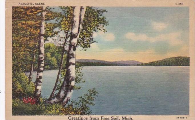 Michigan Greetings From Free Soil 1941 Curteich
