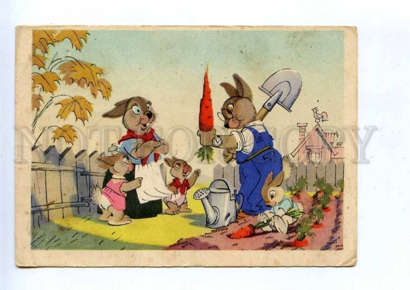 196361 Dressed hares by Byalkovskaya Old russian postcard