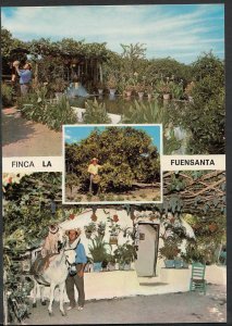 Spain Postcard - Coin (Costa Del Sol) - Finca La Fuensanta   B2409