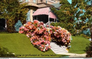 Washington Tacoma Residence Scene With Beautiful Hydrangeas