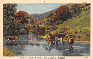 Greetings From Douglas  Douglas MI 