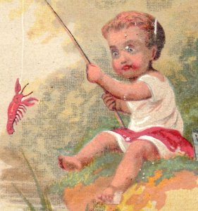 1880s Victorian Trade Cards Comical Babies Fish Butterfly Beetle Set Of 5 P162