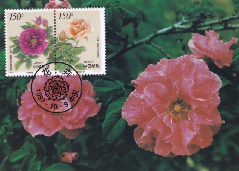 Rugosa Rose China New Zealand Stamp Postcard First Day Cover