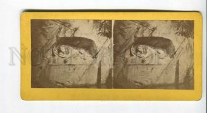 294408 SWITZERLAND LUCERNE Lion Monument Vintage STEREO PHOTO