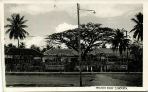 indonesia, JAVA JAKARTA, Prinsen Park (1951) RPPC Postcard 