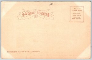 Omaha Nebraska c1905 Postcard City Hall Bee Building And Courthouse