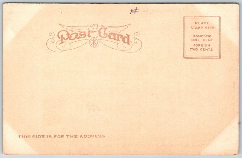 Omaha Nebraska c1905 Postcard City Hall Bee Building And Courthouse