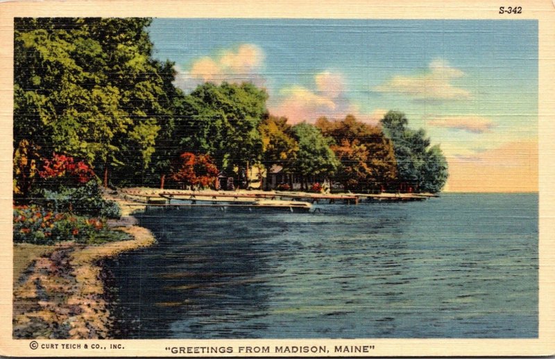 Maine Greetings From Madison 1945 Curteich