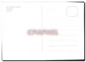 Modern Postcard From Zaanse Schans Verlmolen Kat