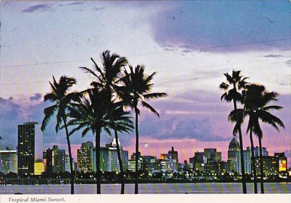 Tropical Miami Sunset Miami Florida 1978