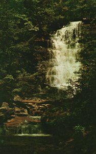 Vintage Postcard Waterfall along Turkey Path at Leonard Harrison State Park Penn