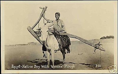 egypt, Native Boy with Wooden Plough (1930s) RPPC