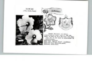 HI State Flower & Facts Postcard