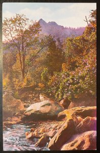 Vintage Postcard 1960's Little Pigeon River, Great Smoky Mountains Park, TENN