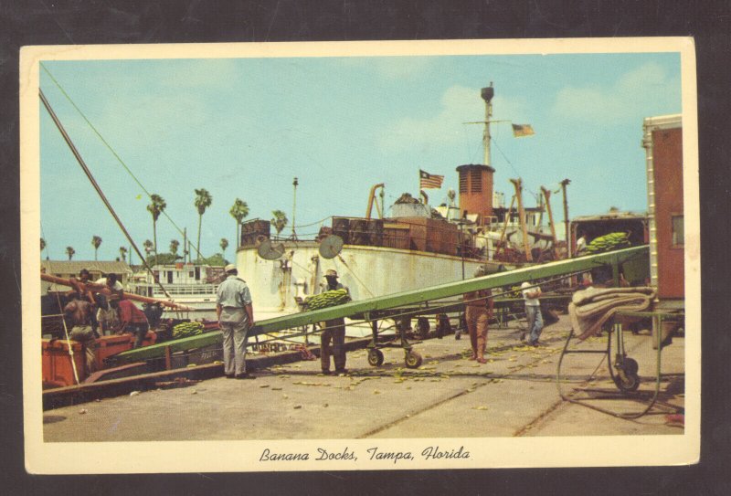 TAMPA FLORIDA BANANA DOCKS BANANA BOATS VINTAGE POSTCARD