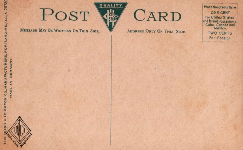 OLD RUSTIC BRIDGE BY SPRING WHITE SPRINGS FLORIDA POSTCARD (c. 1910)