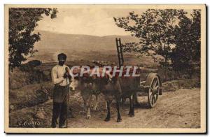 Old Postcard Folklore Basque hitch