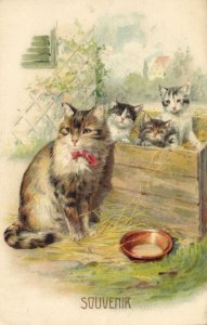 PC CATS, FOUR CATS IN A BOX FULL OF HAY, Vintage Postcard (b47124)