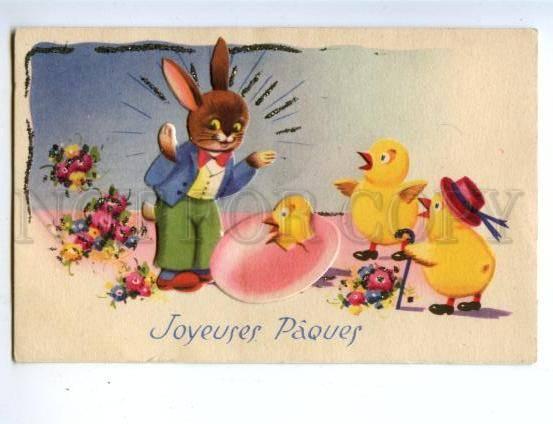 157790 EASTER Dressed RABBIT Chickens EGG vintage colorful PC